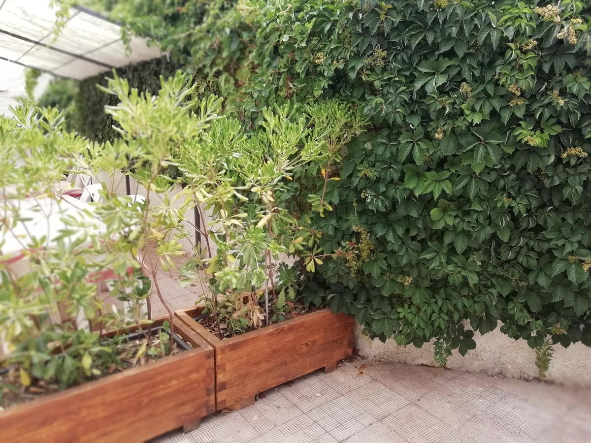 Hotel Noto Marina Stella Marina - B&B Lido di Noto Dış mekan fotoğraf